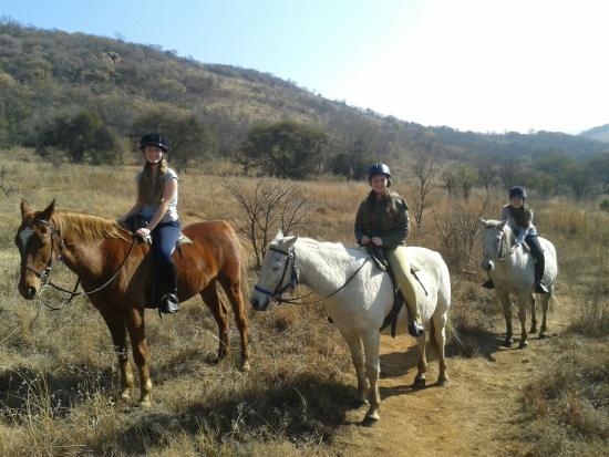 Klipriviersberg Nature Reserve Horse Trails